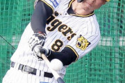 【高橋由伸氏キャンプルポ】阪神・佐藤輝明に「スイング、インパクトとさらに凄くなってる」