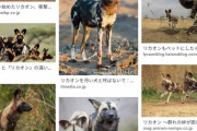 世界一狩りの成功率が高い生物を思い浮かべて下さい。当てられるかな？