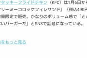 ケンタッキーが「とんでもない発想のサンド」を発売ｗｗｗｗｗｗｗｗｗｗｗｗ