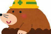 【悲報】モグラさん、雨が凄すぎて土から出てくるｗｗｗｗｗｗ