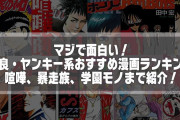 結局ヤンキー漫画で誰が一番ケンカ強いんや？