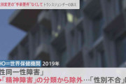 “トランスジェンダー国会”戸籍上の性別変えるため体にメスを…「生殖機能失わないと性別変更できない」性同一性障害の特例法　見直し求め訴え