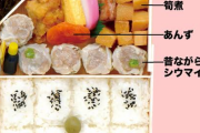 シウマイ弁当見てみたら中身しょぼすぎで草だ