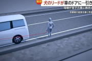 母親が息子の車に数百メートル引きずられけが　犬だけ乗せリード持ったまま車発進…　横浜市金沢区
