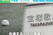 【日大アメフト部、楽天・安楽のパワハラ問題、宝塚歌劇団…】「閉鎖的な組織」で“見ないふりをする傍観者”の心理を専門家が分析