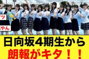 日向坂4期生から何やら朗報がキタ！！【日向坂46】