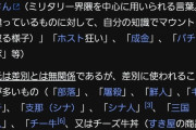 【闇画像】wikipediaの「差別用語」ページ見て草生えたんだがwwwwww