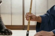 中国人「バレーボール各国代表が中国で書道したら・・・」　中国人「日本人は上手」「バレーボールよりも字の練習をしてくれ」