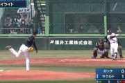 【二軍試合結果】ヤクルト６－０ロッテ　並木1号2ラン　吉田大喜7回無失点