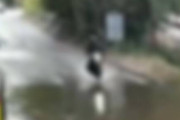 【動画】バイク乗りさん、増水した道路に突っ込んだ結果ｗｗｗｗｗｗｗｗｗ