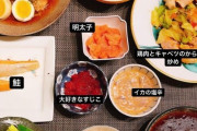【画像】ヤクルト高橋の嫁・板野友美さんの手料理がご飯10杯は食べれちゃうと話題