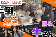 【#ロジログ】いでぼくで初牛さんとの触れ合い🐄🌹植村葉純「将来、ここで働かせてください！」