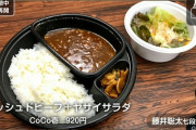 【画像】藤井聡太七段さん、晩ご飯にCoCo壱番屋のカレー(920円)を注文してしまい嫉妬民ブチギレ