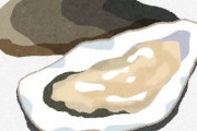 「牡蠣」とか言う大好きな人か大嫌いな人しか居ない謎の食い物