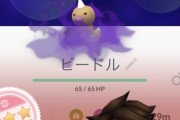 【ポケモンGO】100個体のシャドウビードルに使い道ってある？