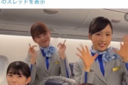 【画像あり】ANA「アイドルにCAの格好して貰いました！」　？？？「！！！」ｼｭﾊﾞﾊﾞﾊﾞ