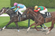 【三宮S】怪物ダブルハートボンド無傷の5連勝