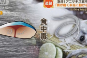 刺身に電気を流してアニサキスを殺虫 「日本の生食文化を守りたい」