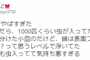 魚民、料理への虫混入で謝罪　保健所立ち入り「白菜の洗浄不備」原因か