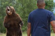 アメリカ人の６％は「素手でクマに勝てる」と思っている
