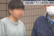 「韓国語を教えてあげる」日本で女子高生を誘引して性的暴行…30代の韓国人逮捕＝韓国の反応