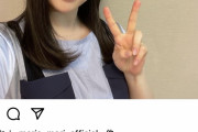 【画像8枚】桜井日奈子さん、かなり美人だわ！