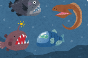 深海魚ってなんで水圧で潰れないん？？？？？？？？？？？？