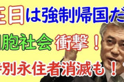韓国文在寅政権、特別永住在日ら在外国民の帰国政策検討へ。【民団新聞】兵役義務･国外財産調書提出に