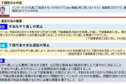 【衝撃】カバー㈱さん、公正取引委員会から勧告を受けてしまうｗｗｗｗｗｗｗｗｗｗｗｗｗｗ