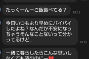 ワイ氏の彼女メンヘラすぎて30分返さないだけで鬼ラインｗｗｗ