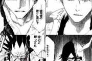 【BLEACH】世界のバグ貼る！！！！！