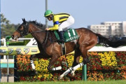 【フラワーC】5番人気レーゼドラマが快勝！重賞初制覇