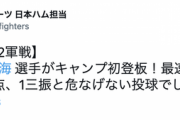 【vs中日ファーム練習試合】日ハム伊藤大海、今季実戦初登板で1回無安打1奪三振無失点　最速148キロ