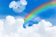 【虹の橋】ママ友Aの子供が亡くなった時にママ友Bが虹の橋を渡るって表現を使ってて、それはペットに使う表現だと注意したけど、今は子供にも使うのよって言われたわ
