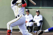阪神育成藤谷が３号ソロ「どんどん上を目指して」