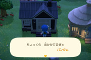 【あつまれどうぶつの森】住民がどこにもいない。出かけてますって書いてるのに…