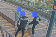 3人組、総額1億円の恐竜モニュメントの一部を何度もキックし破壊　修復には数百万円必要か　犯行の一部始終