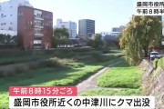 盛岡市役所近くにクマ、　盛岡城跡公園にも出没　住宅地に入り込む　警察や市が警戒　岩手県内でクマの出没相次ぐ