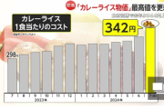 【悲報】カレー、完全に上級国民の食べ物になる。庶民の食べ物だったのになぜ…