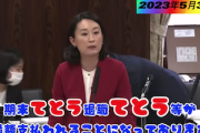 【国会動画】立憲民主党議員さん、漢字の読み間違いでもブーメランｗｗｗしかも怒涛の連呼でワロタｗｗｗｗｗｗ