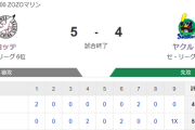 【試合結果】ヤクルト4-5☓ロッテ　同点に追いつくもサヨナラ負け…内山3号2ラン！