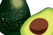 【仰天】健康食材のアボガド、ガチでスゴかったｗｗｗｗｗｗｗｗ