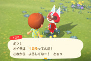 【悲報】ワイ、どうぶつの森の「住民リセマラ」で5時間経過・・・