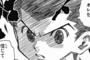 【画像】HUNTER×HUNTERで、1番ではないけどTOP5くらいには入る好きなシーンｗｗｗｗｗｗｗｗｗｗｗｗｗｗｗｗｗ