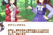 【ウマ娘】タクトちゃん、山籠りでクマを追いかけてしまう