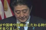 【考察】林原めぐみブログ、原文を読んでいくと問題の本質が見えてくる【陰謀論】