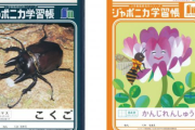 【悲報】ジャポニカ学習帳、虫の写真がキモいためイラストに変更へ