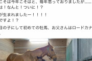 【競馬】朗報！！ダイワスカーレット、11頭目の産駒にしてついに初の牡馬を産み落とす