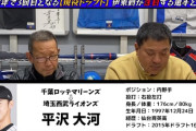 平沢大河、なんG民の評価は低いが有識者評価は高い