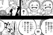 【朗報】ワンピースのガーリング聖、シャッキーの代わりにハンコックを発注していたwww